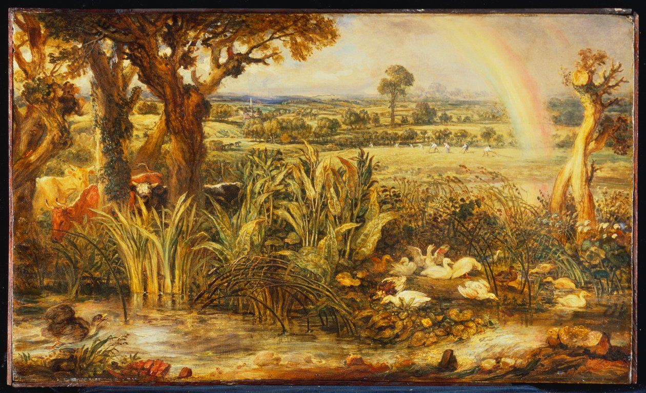 O arco-íris de James Ward