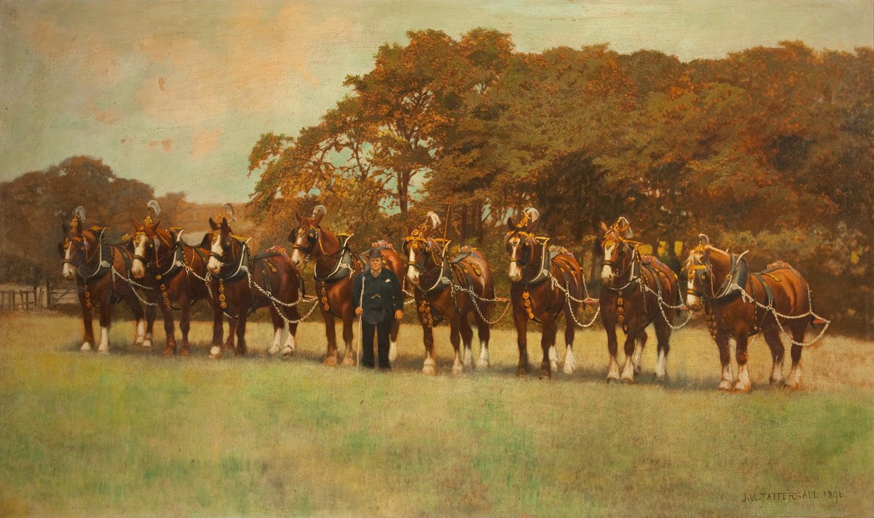 Cavalos do Shire, 1896 de James Weaver Tattersall