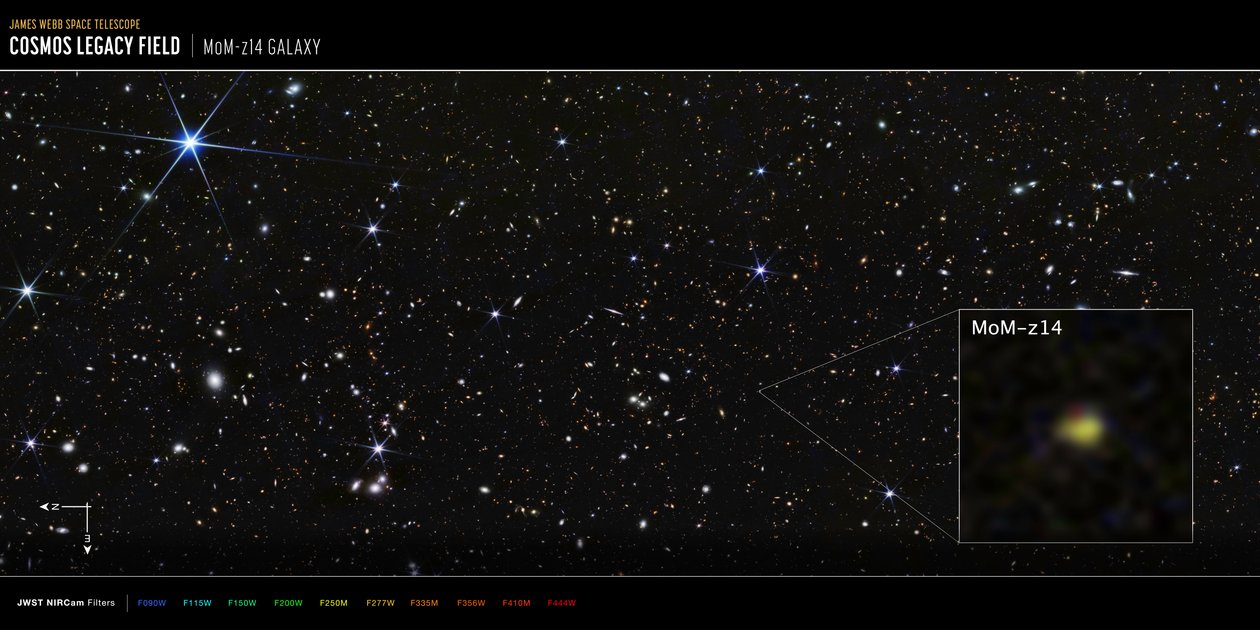 Galáxia MoM-z14 do campo COSMOS (imagem da NIRCam) de James Webb Space Telescope (NASA)