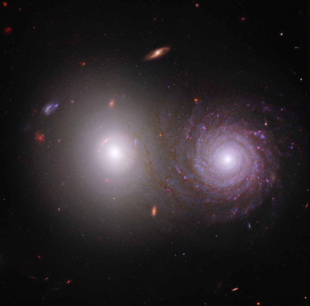 Galáxias em interação VV 191 (Imagem composta do Webb e do Hubble) de James Webb Space Telescope (NASA)