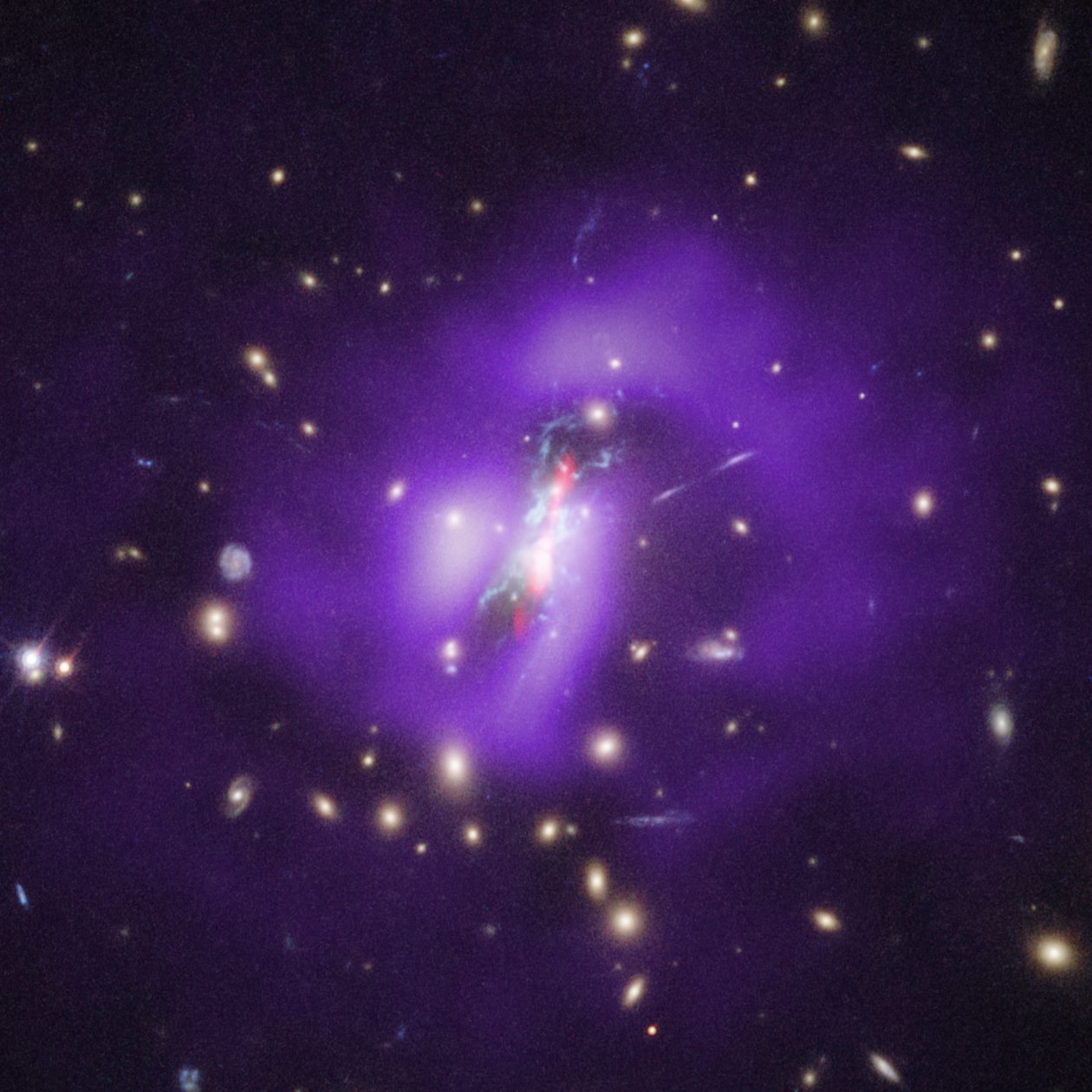Agregado de Phoenix (Hubble, Chandra, VLA) de James Webb Space Telescope (NASA)