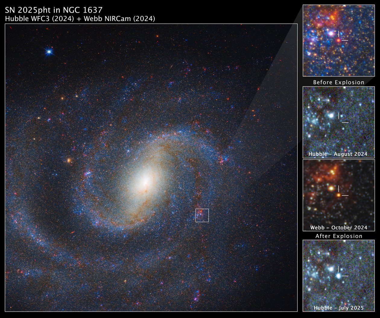 SN 2025pht na NGC 1637 de James Webb Space Telescope (NASA)