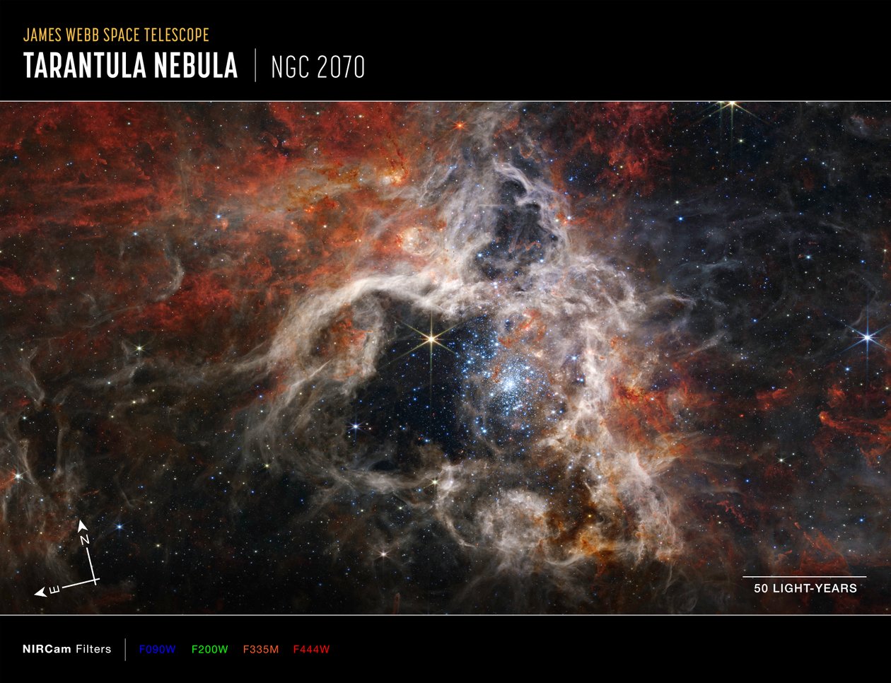 Nebulosa da Tarântula (Imagem da NIRCam Compass) de James Webb Space Telescope (NASA)