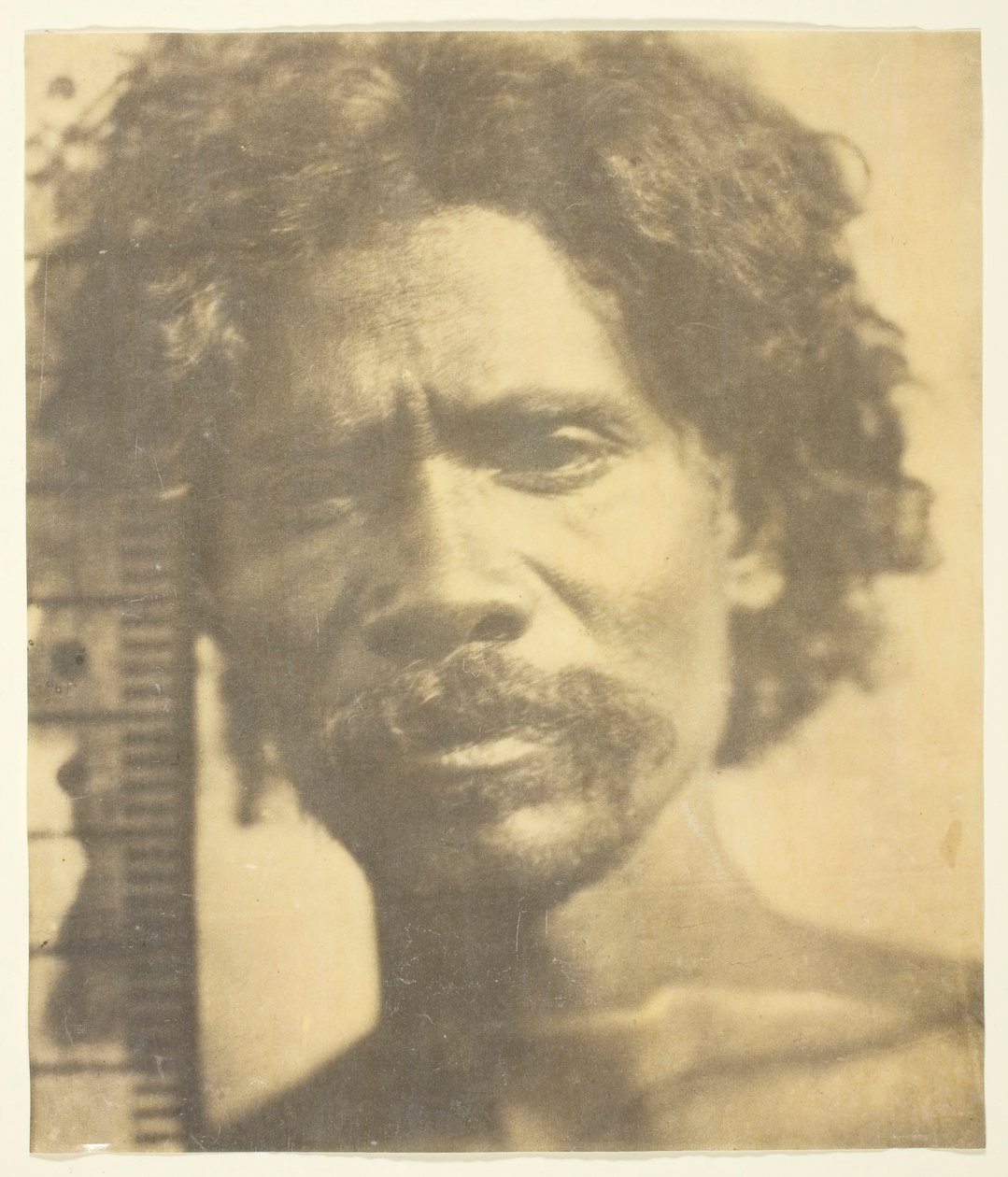 Kuruba Man, 1873. de James Wilkinson Breeks
