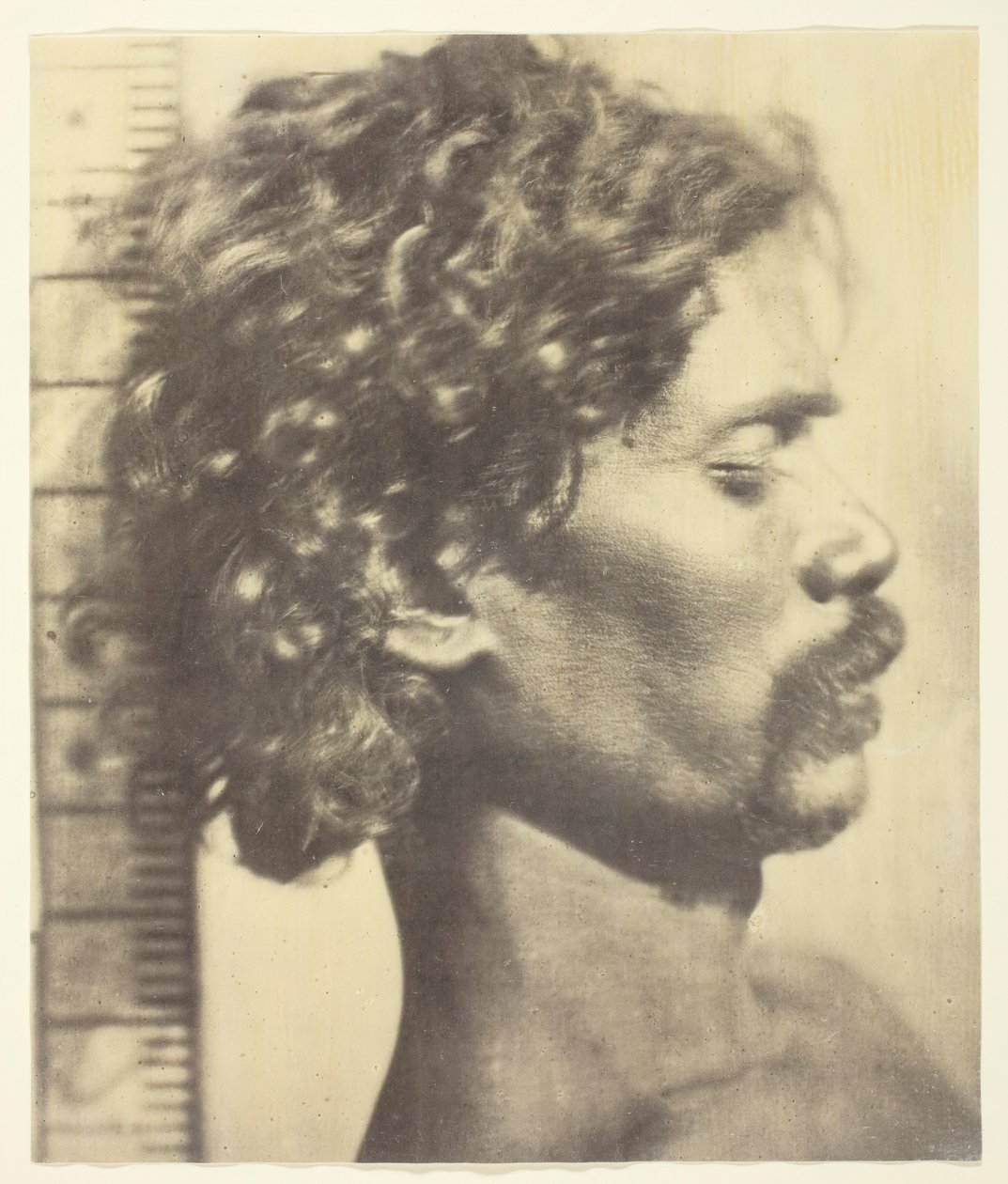 Kuruba Man, 1873. de James Wilkinson Breeks