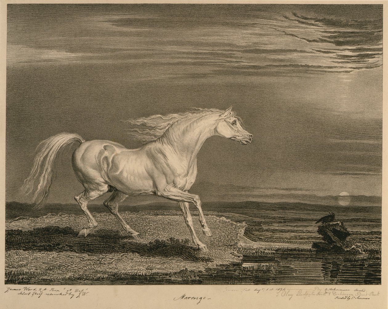 Marengo, da Celebrated Horses, um conjunto de catorze impressões de corrida publicadas pelo artista, 1823-24 de James after Ward