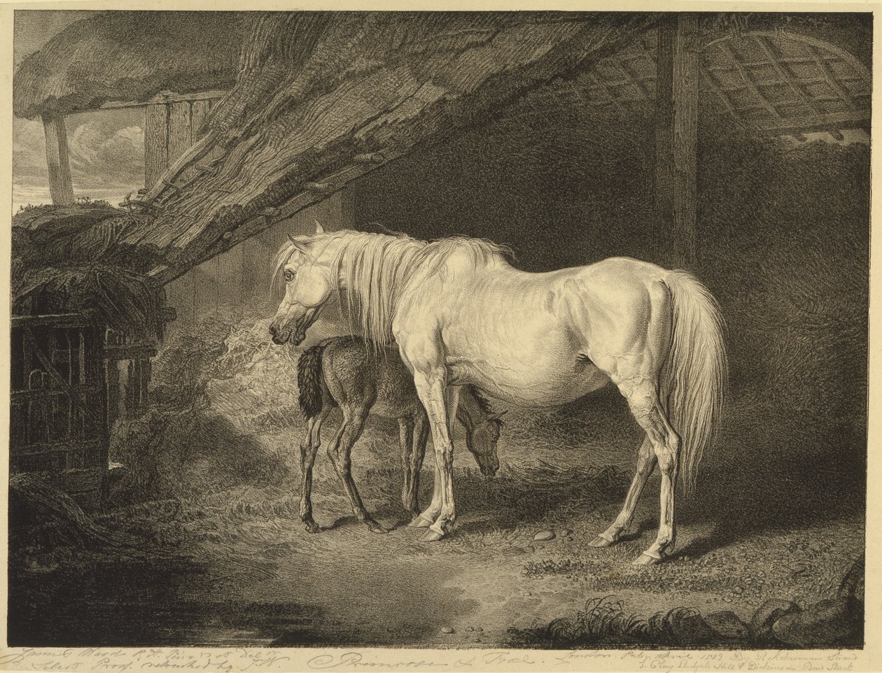 Primrose and Foal, de Celebrated Horses, um conjunto de catorze impressões de corrida publicadas pelo artista, 1823-24 de James after Ward