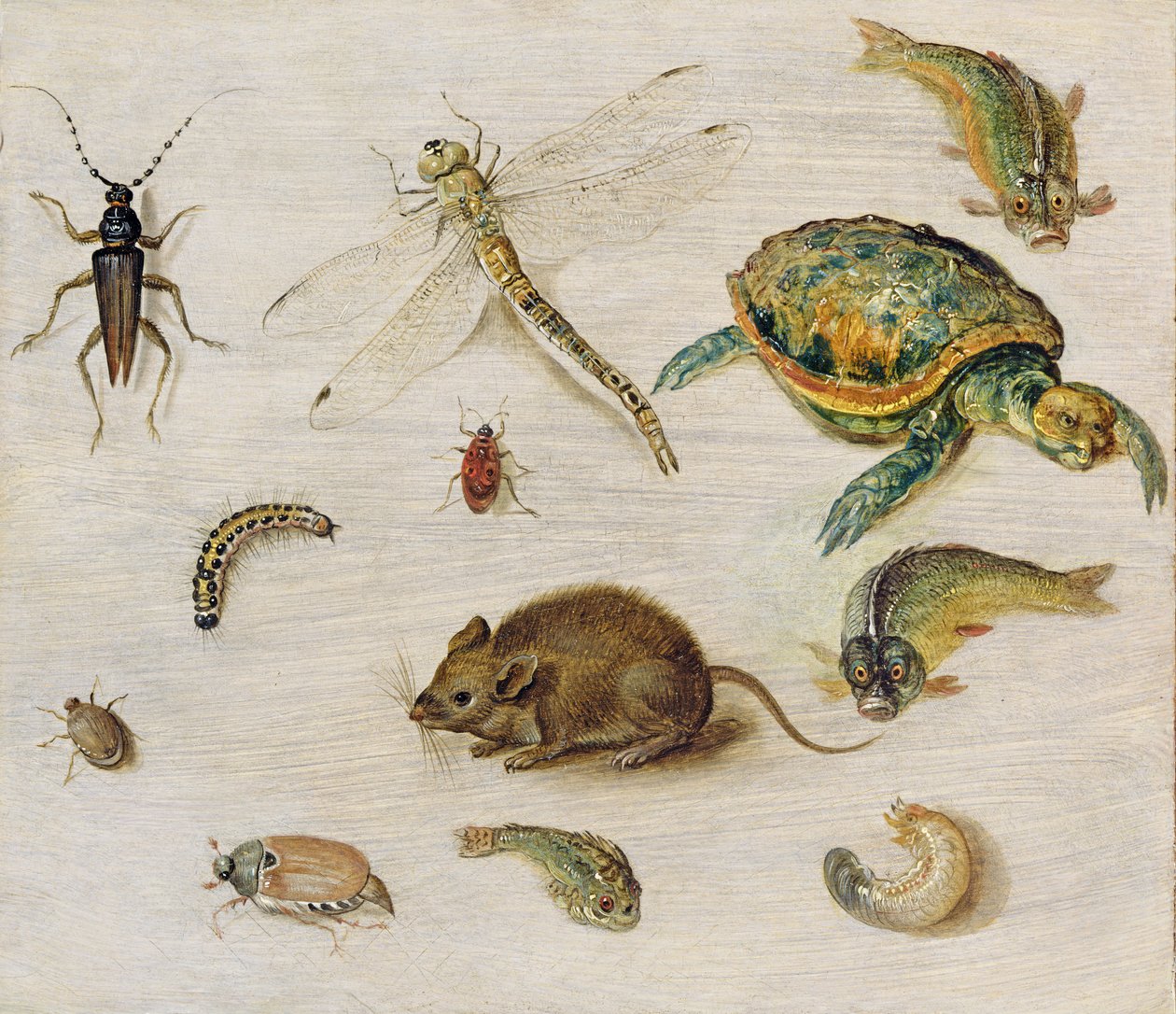 Um estudo de insetos, criaturas do mar e um rato de Jan the Elder Brueghel