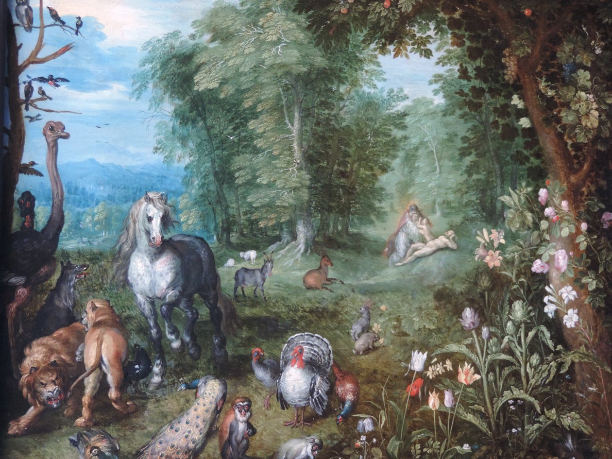 Paraíso com a criação de Eva de Jan Brueghel the Younger