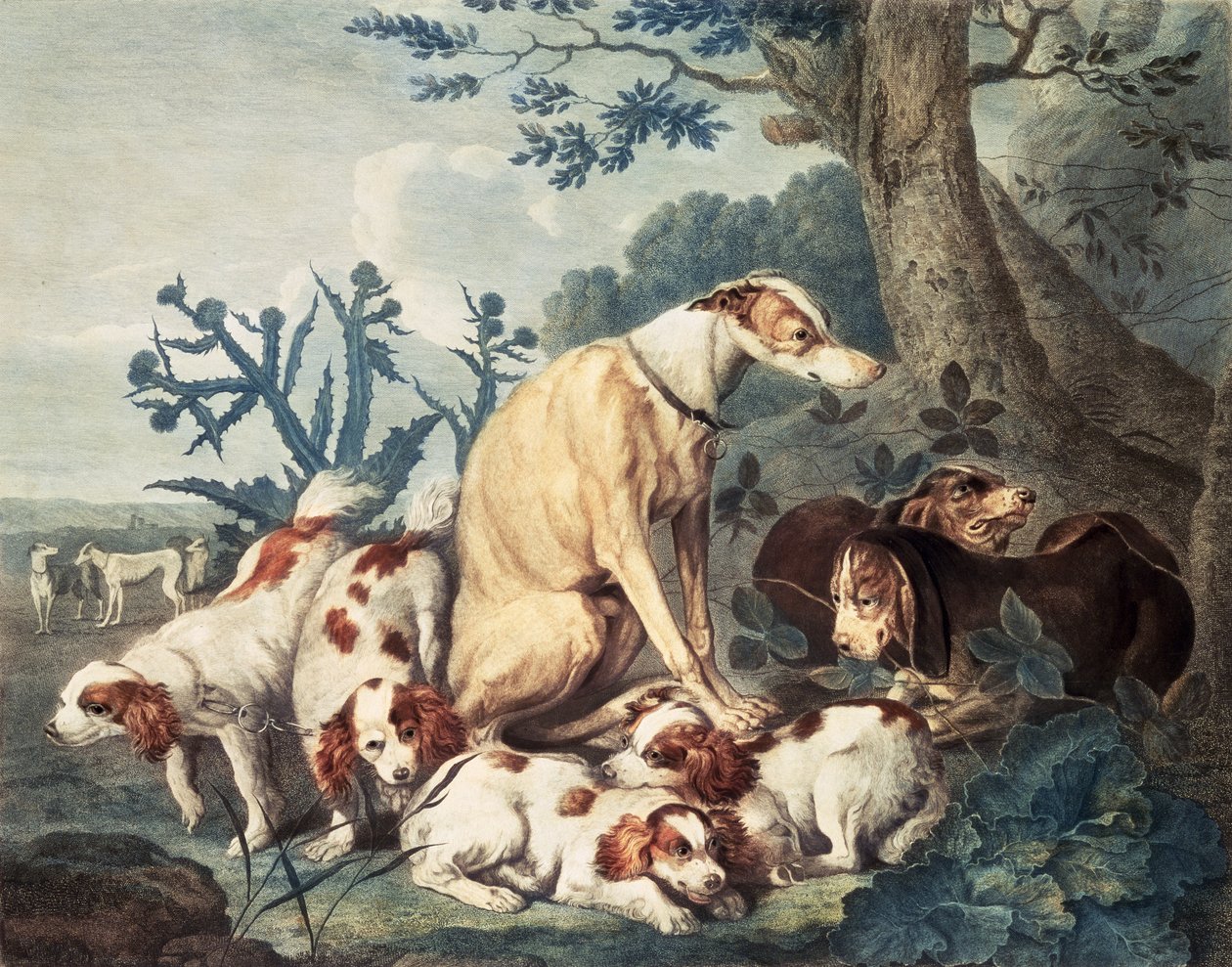 Retratos de Cães, gravados por Daniel Lerpiniere (c.1745-85), pub. por John e Josiah Boydell, 1799 (gravura de stipple) de Jan Fyt