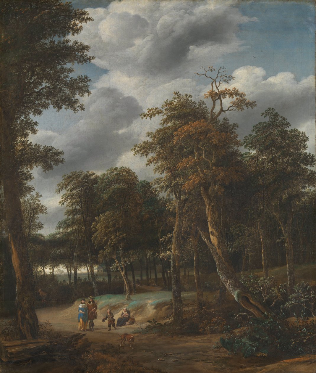 Estrada florestal de Jan Looten