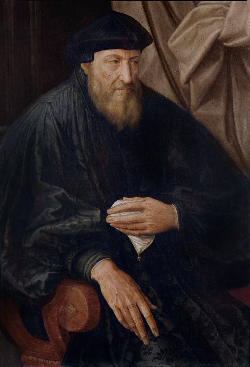 Retrato de Andrea Doria de Jan Massys or Metsys