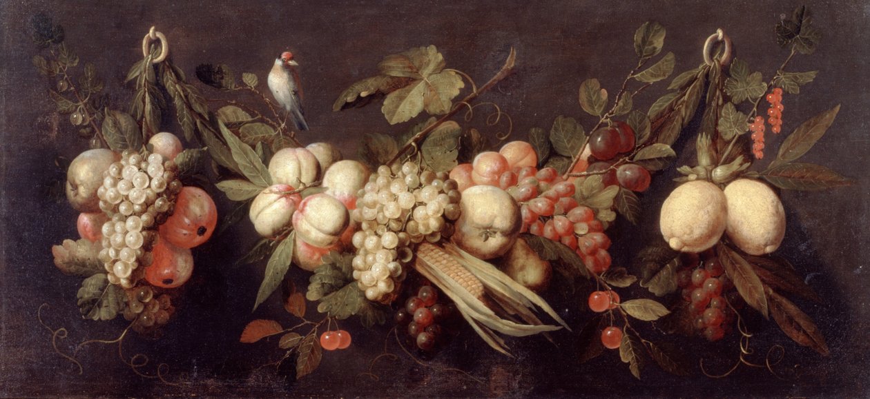 Ainda vida com frutas e um pássaro de Jan Pauwel the elder Gillemans