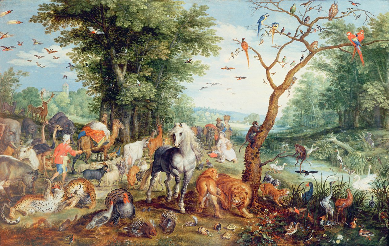 Arca de Noé de Jan Snellinck
