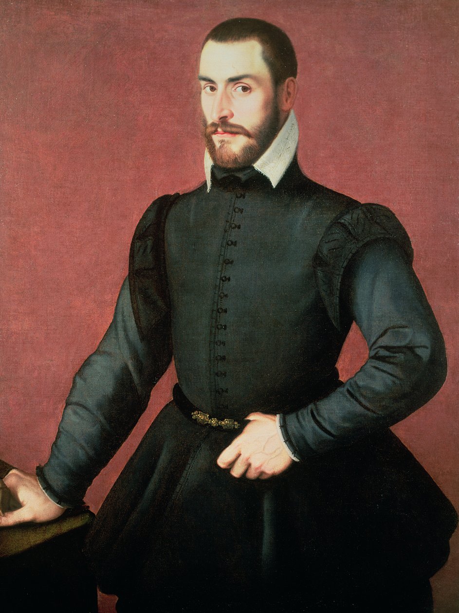 Retrato, de, um, homem jovem, em, um, interior de Jan Stephen van Calcar