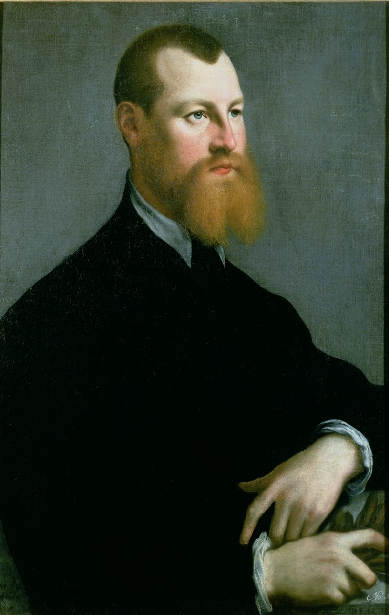 Retrato, de, um, homem, com, um, barba gengibre, 16º século de Jan Stephen van Calcar