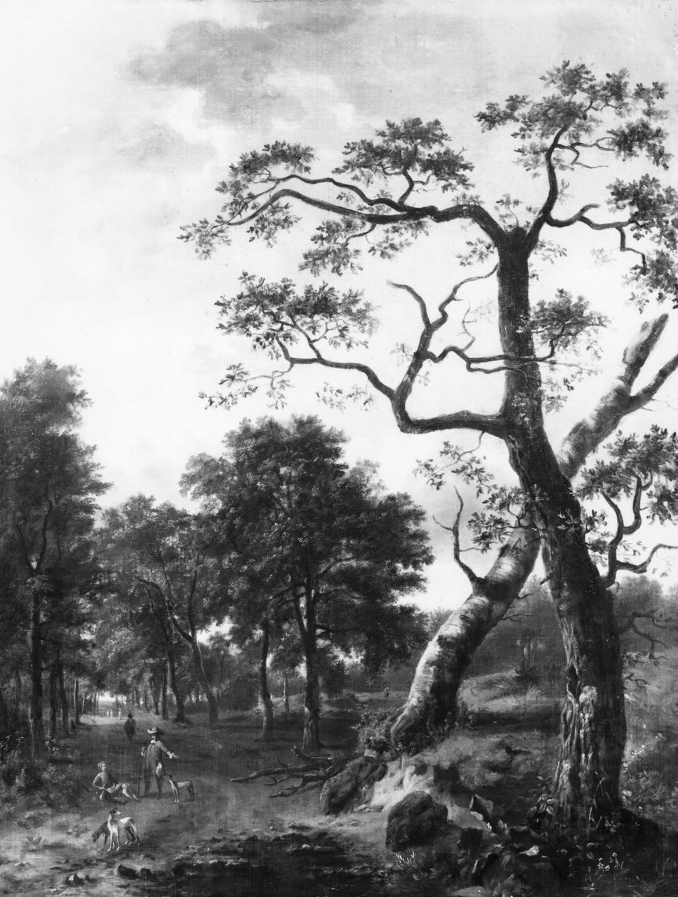 Panorama de Jan Wijnants