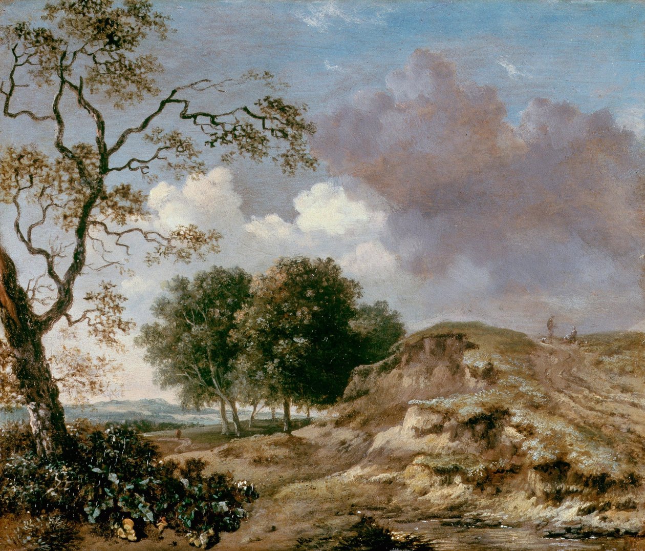 Panorama de Jan Wijnants