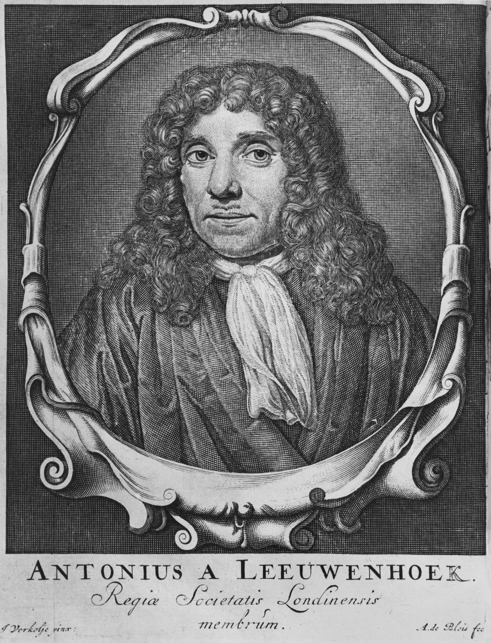 Retrato de Anton Van Leeuwenhoek, ilustração de &39;Arcania naturae ...&39;, gravada por Abraham de Blois (séculos 17 e 18) Leiden, 1722 de Jan Verkolje