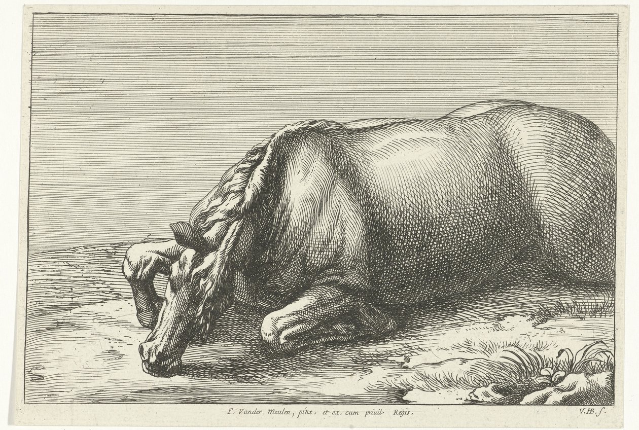 Cavalo morto, visto do lado esquerdo de Jan van Huchtenburgh