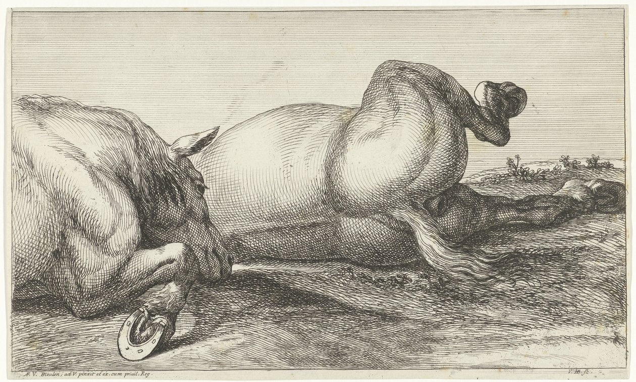 Dois cavalos mortos em ação deitado em uma fileira de Jan van Huchtenburgh