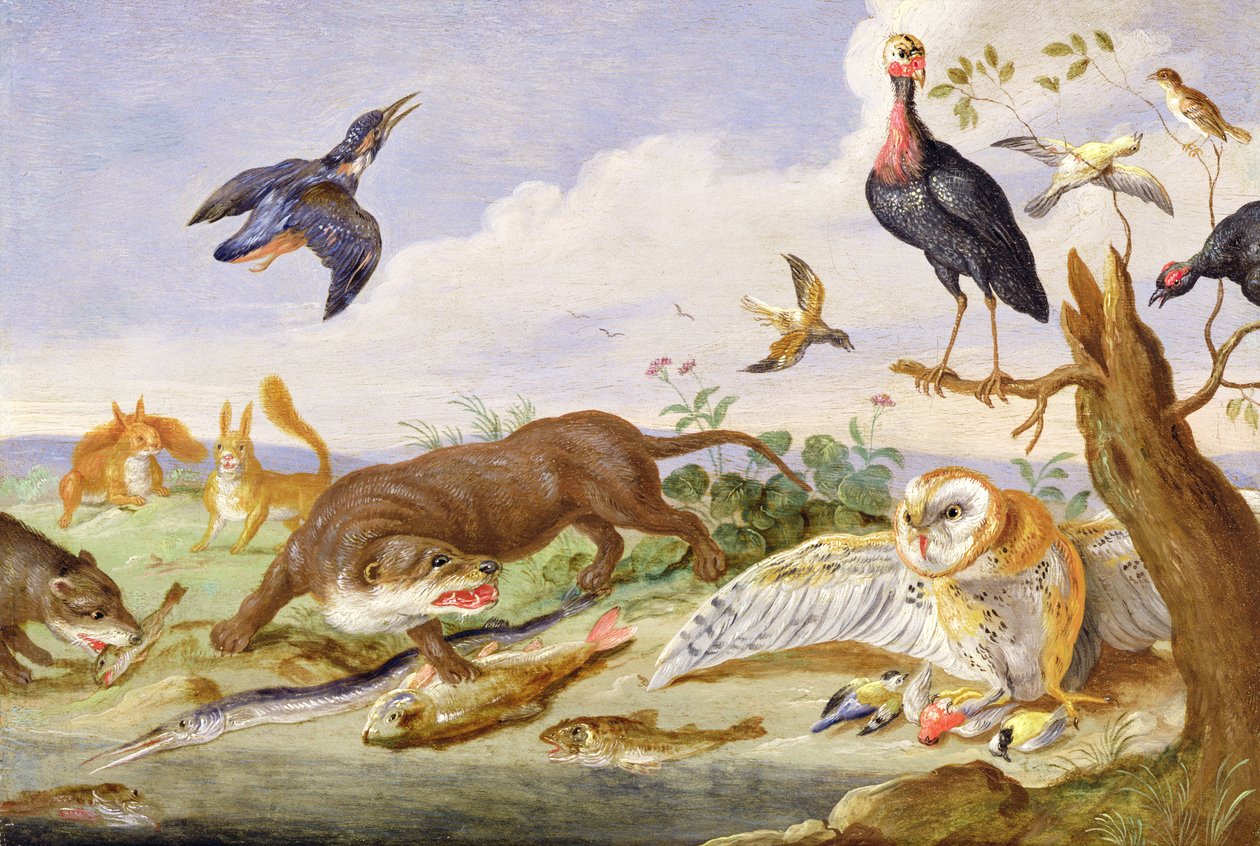 Uma lontra e uma coruja que guardam suas capturas (óleo em cobre) de Jan van Kessel the Elder