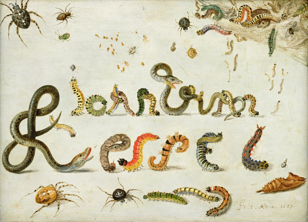 Jardim e outras aranhas, lagartas soletram o nome do artista, 1657 (óleo sobre cobre) de Jan van Kessel the Elder