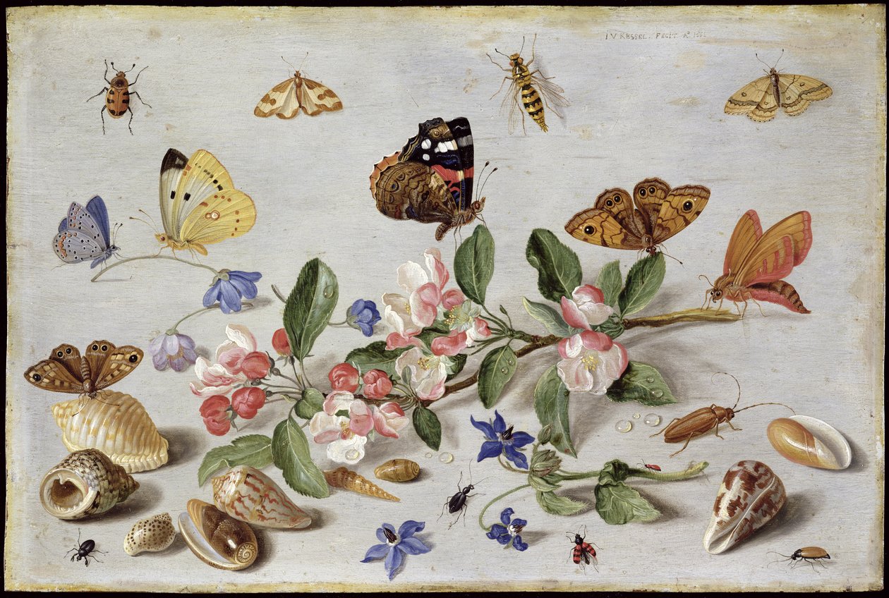 Insetos (óleo em cobre) de Jan van Kessel the Elder