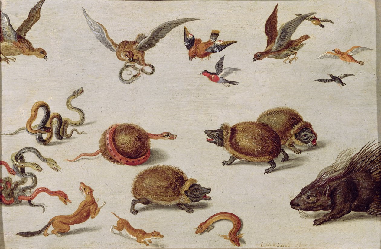 Os inimigos das cobras de Jan van Kessel the Elder