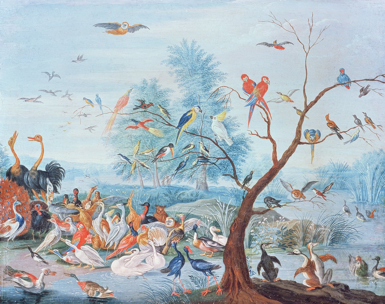 Pássaros tropicais em uma paisagem de Jan van Kessel the Elder