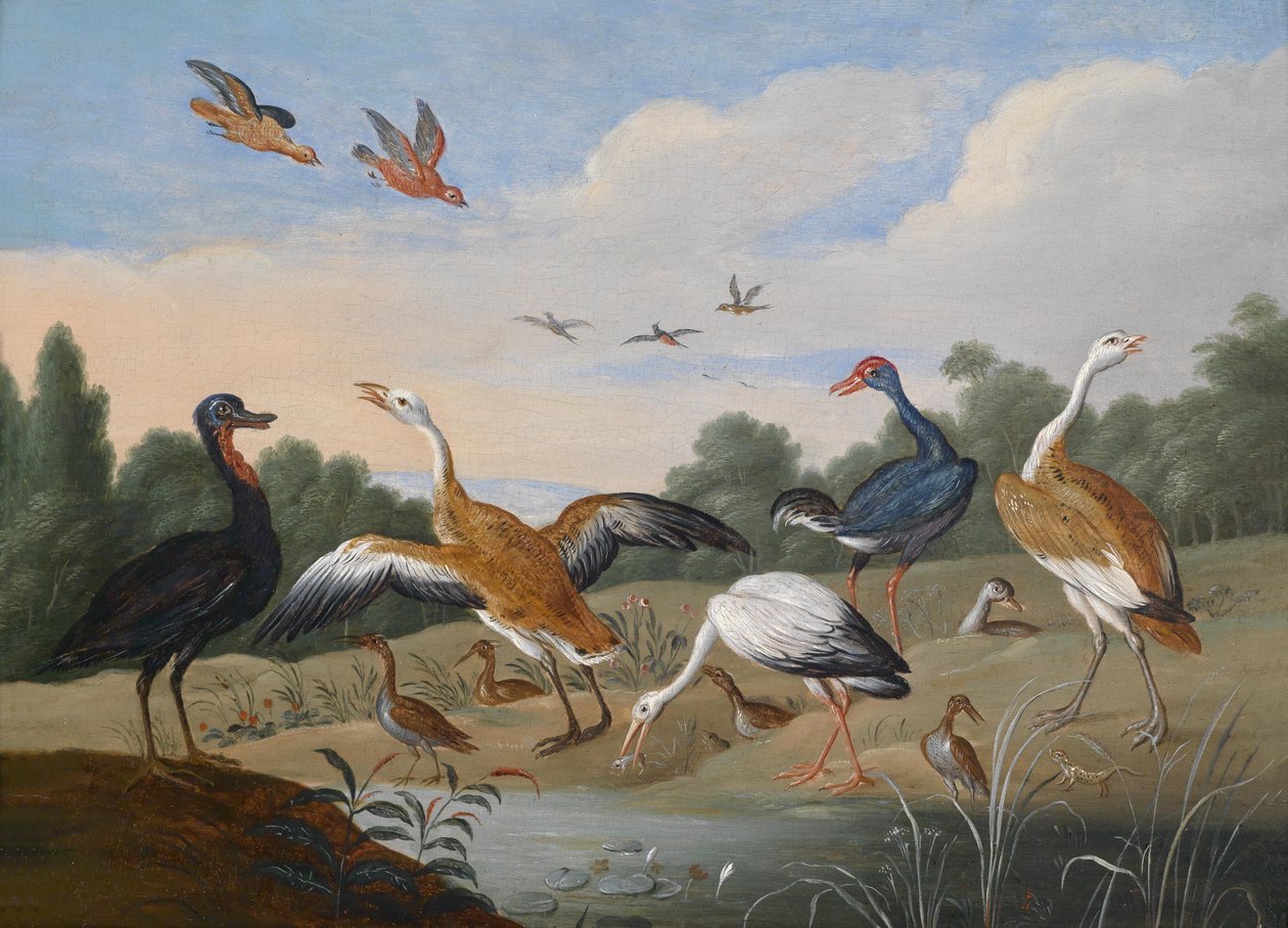 Garças e patos no rio de Jan van Kessel the Elder