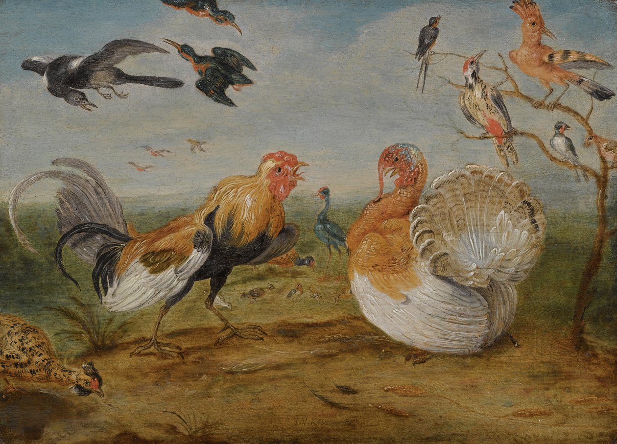 Uma paisagem com um galo e um peru brigando, e outras aves de Jan van Kessel the Elder