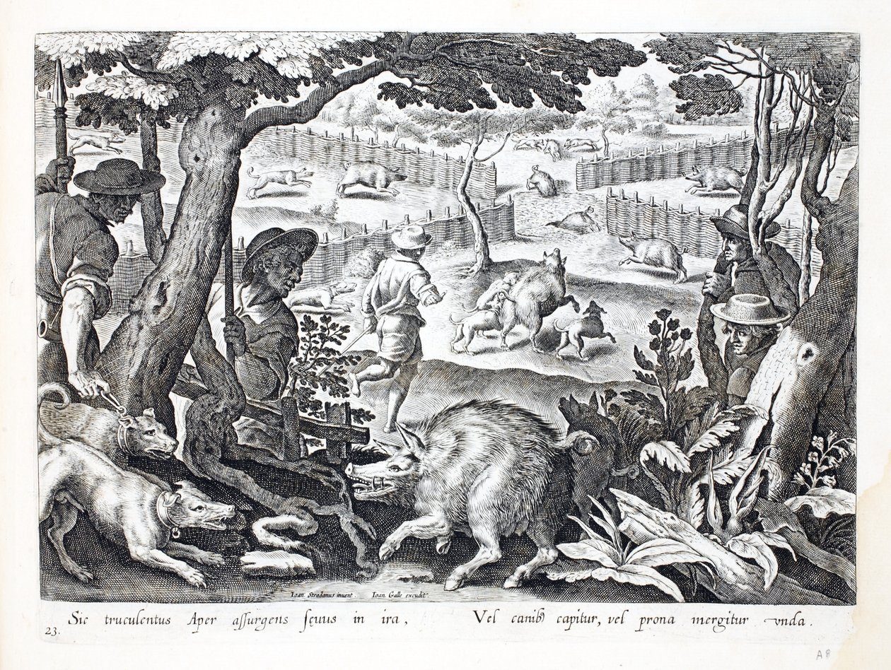 Um feroz javali levanta-se com raiva, os cães conduzem outros para dentro das águas, ilustração de "Venationes, Ferarum, Avium, Piscium" (De Caça: Animais Selvagens, Pássaros, Peixes), gravada por Jan Collaert (156 de Jan van der Straet