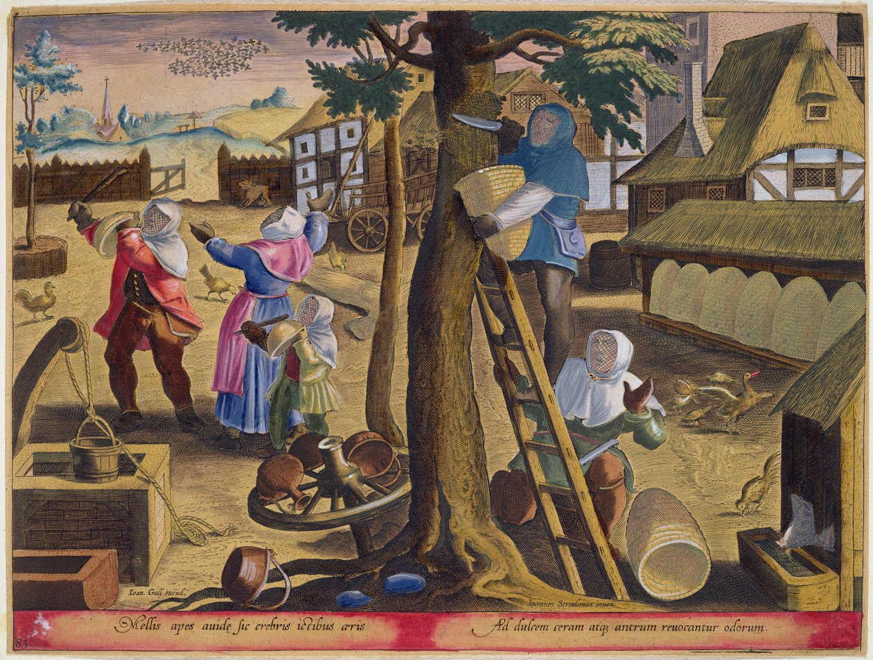 Apicultores, placa 83 de &39;Venationes Ferarum, Avium, Piscium&39; (De Caça: Animais Selvagens, Pássaros, Peixes) gravada por Jan Collaert (1566-1628), publicada por Phillipus Gallaeus de Amsterdã (pintada à mão de Jan van der Straet