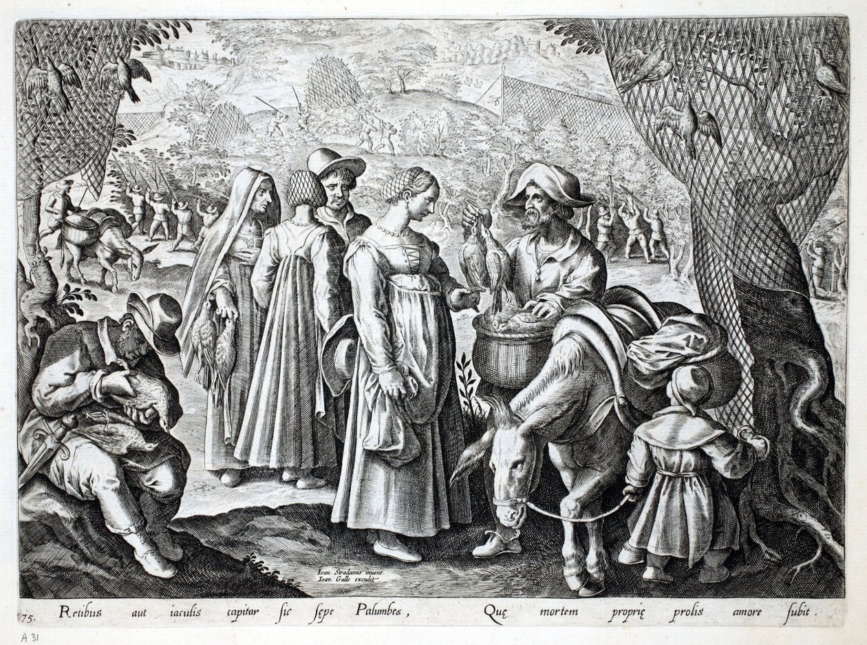 Birdcatchers que vendem o pombo de madeira, ilustração de "Venationes, Ferarum, Avium, Piscium" (da caça: Bestas selvagens, pássaros, peixes), gravada por Jan Collaert (1566-1628), bar. por Phillipus Gallaeus, Amst de Jan van der Straet