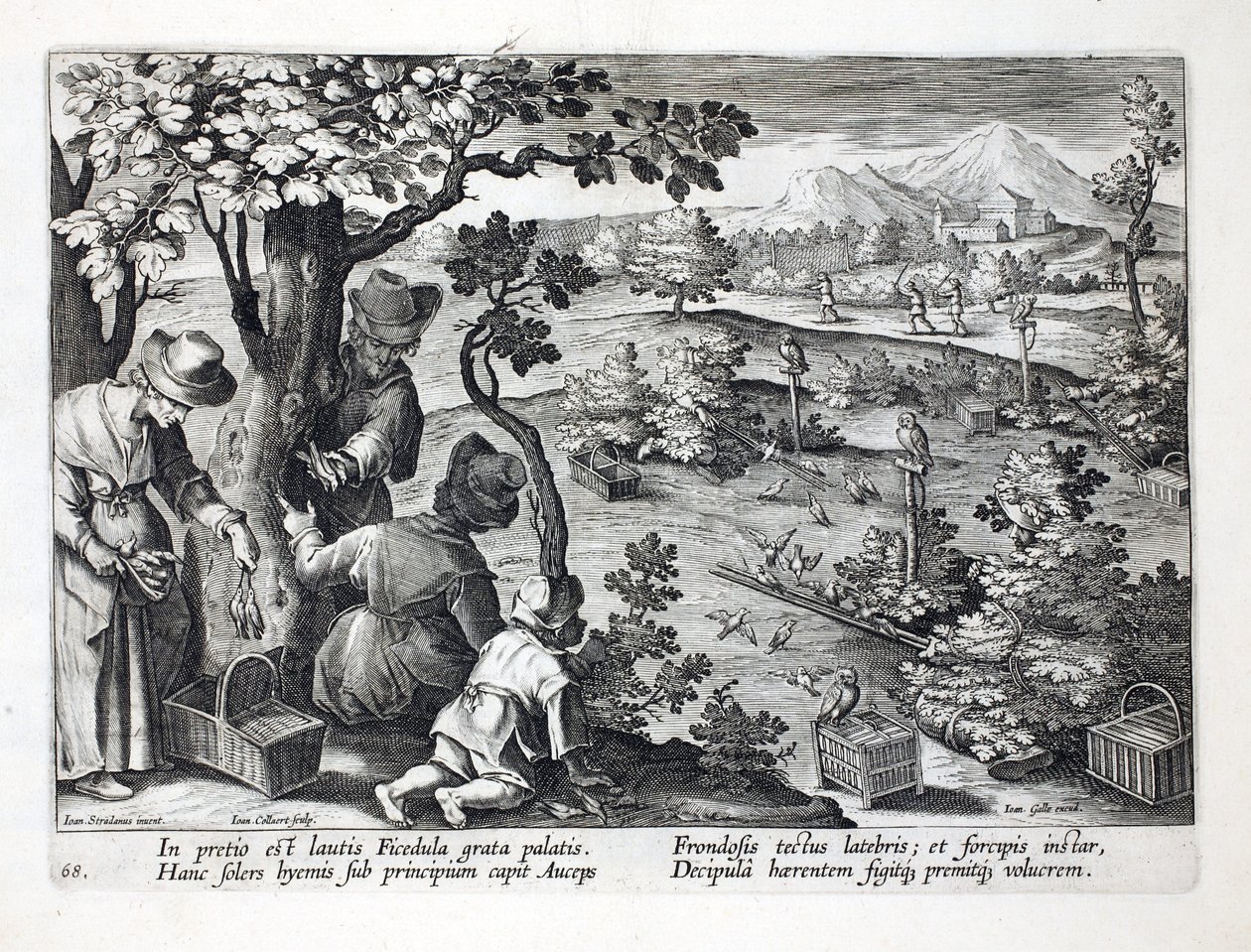Os Birdcatchers que usam corujas e disfarçam para travar Figpeckers, ilustração de "Venationes, Ferarum, Avium, Piscium" (da caça: Bestas selvagens, pássaros, peixes), gravados por Jan Collaert (1566-1628), bar. por de Jan van der Straet