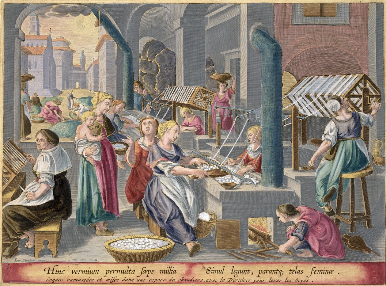 Ebulição dos casulos para destruir as crisálidas e suavizar os fios e enrolá-los para fazer seda, placa 6 de &39;Vermis Sericus&39; (o bicho-da-seda) gravada por Philip Galle (1537-1612) de Jan van der Straet