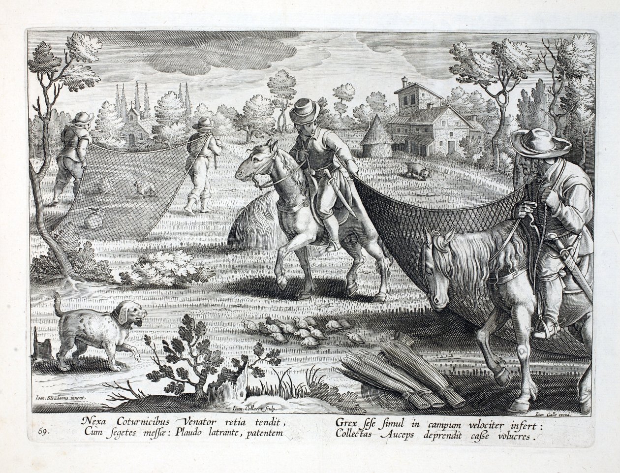 Catching codorna, ilustração de &39;Venationes, Ferarum, Avium, Piscium&39; (de caça: feras, pássaros, peixes), gravada por Jan Collaert (1566-1628), pub. por Phillipus Gallaeus, Amsterdã de Jan van der Straet