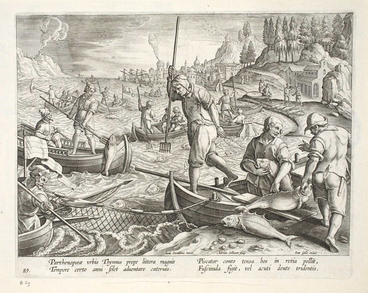 Pesca com redes e Tridentes na Baía de Nápoles, placa 89, ilustração de &39;Venationes, Ferarum, Avium, Piscium&39; (de caça: feras, pássaros, peixes), gravada por Jan Collaert (1566-1628), pub de Jan van der Straet