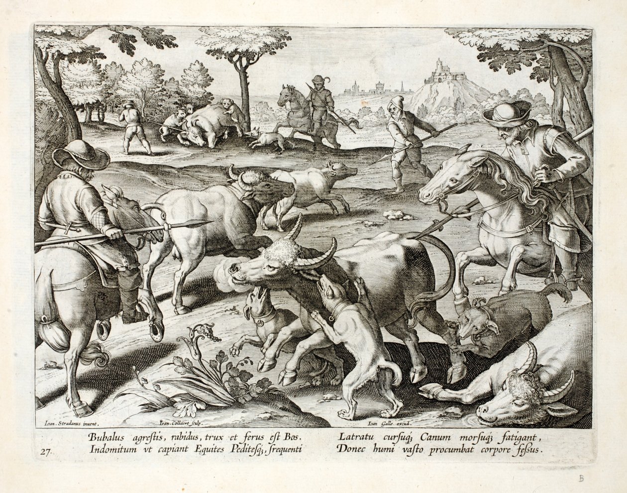 Caçando o boi selvagem, ilustração de &39;Venationes, Ferarum, Avium, Piscium&39; (da caça: Bestas selvagens, pássaros, peixes), gravada por Jan Collaert (1566-1628), bar. por Phillipus Gallaeus, Amsterdã de Jan van der Straet