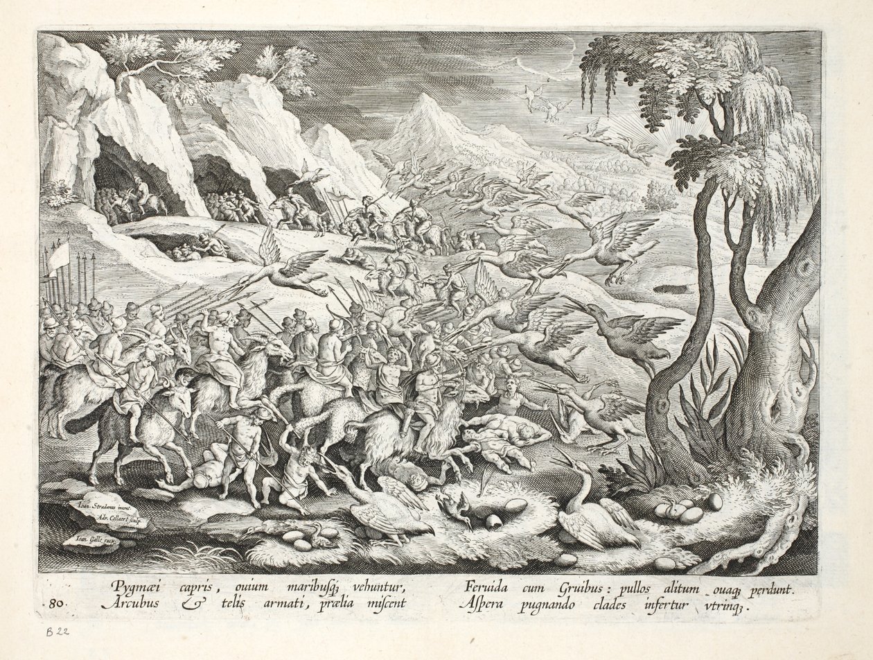 Pigmeus na caça das cabras Guindaste, ilustração de &39;Venationes, Ferarum, Avium, Piscium&39; (da caça: Bestas selvagens, pássaros, peixes), gravada por Jan Collaert (1566-1628), bar. por Phillipus Gallaeus, Amster de Jan van der Straet
