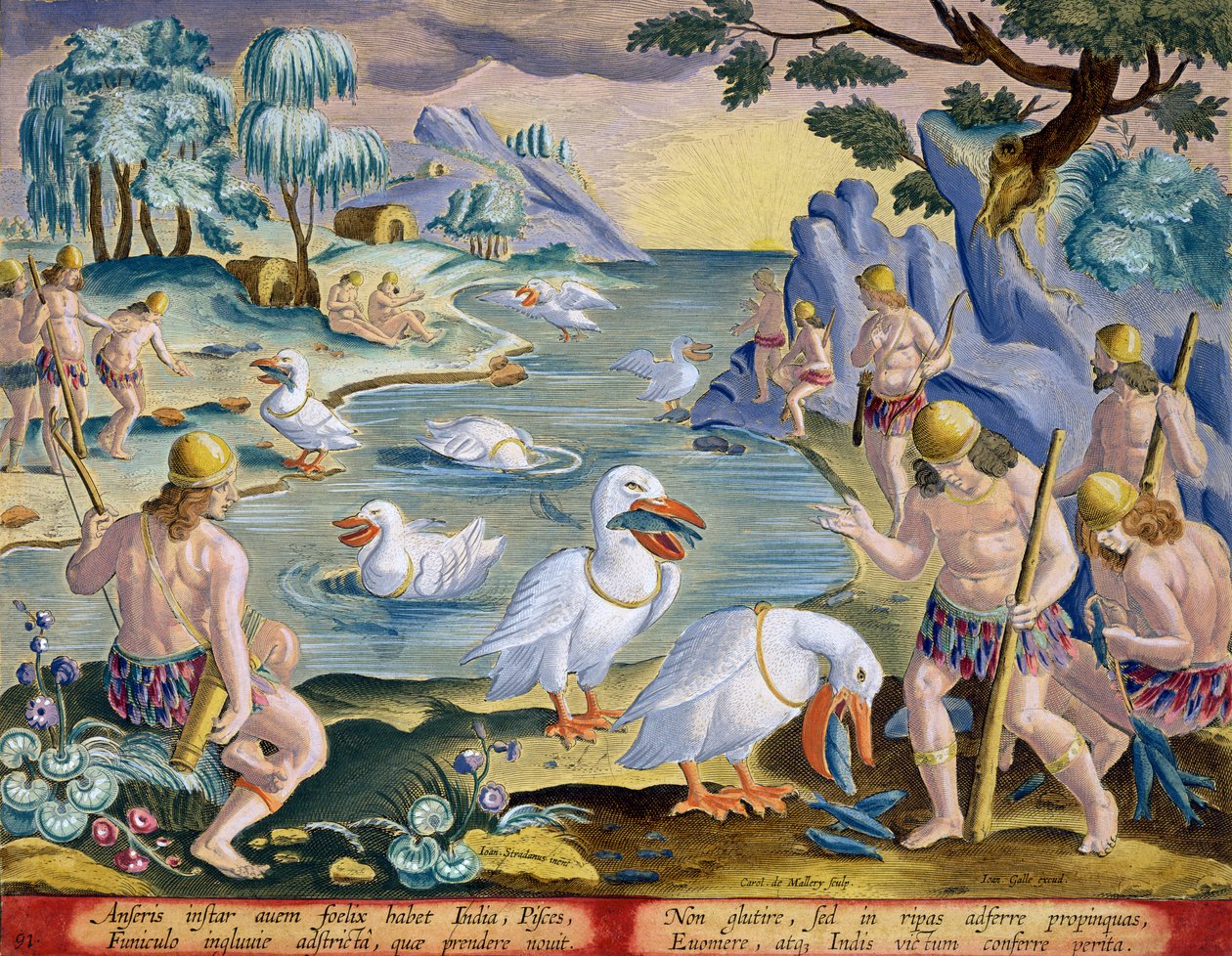 Selvagens Semi-Nus da Índia Usando Pelicanos para Apanhar Peixes, placa 91 de &39;Venationes Ferarum, Avium, Piscium&39; (De Caça: Animais Selvagens, Pássaros, Peixes) gravada por Jan Collaert (1566-1628) publicado por Ph de Jan van der Straet