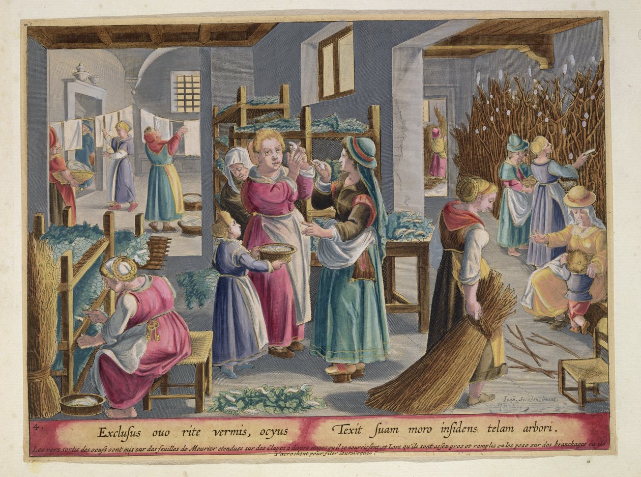 Os ovos devidamente eclodem em vermes, eles são cobertos por folhas de amoreira e, em seguida, as mulheres colocá-los em ramos para tecer seus casulos, placa 4 de &39;Vermis Sericus&39; (o bicho da seda) gravada por Philip Ga de Jan van der Straet