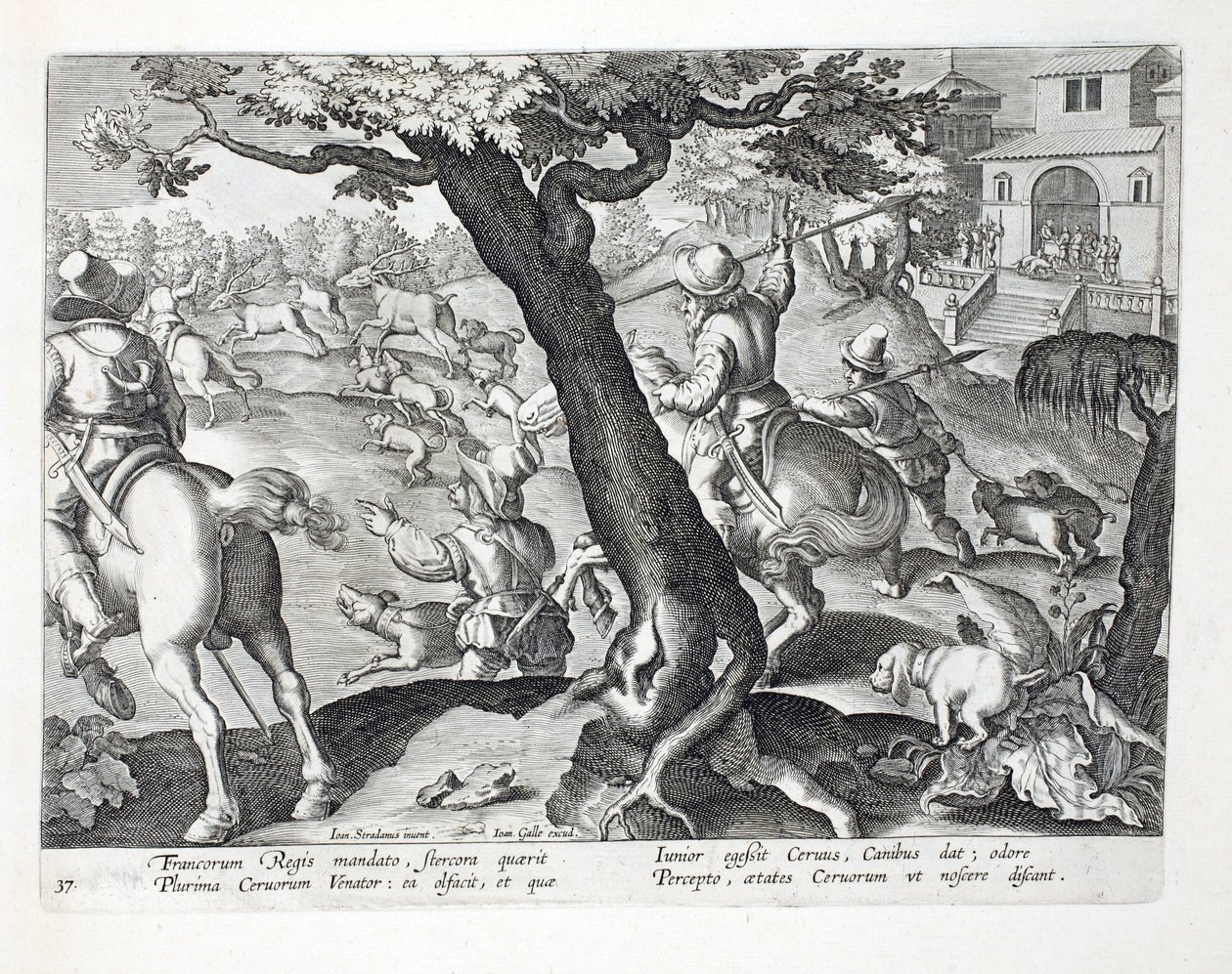 A caça do veado do rei francês com cães, ilustração de "Venationes, Ferarum, Avium, Piscium" (da caça: Bestas selvagens, pássaros, peixes), gravada por Jan Collaert (1566-1628), bar. por Phillipus Gallaeus de Jan van der Straet