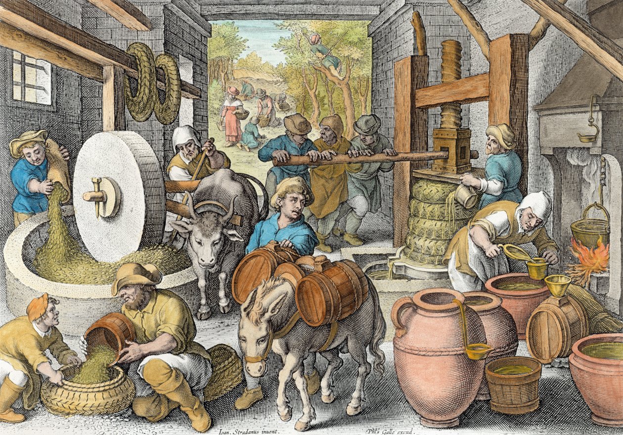 A produção de azeite, placa 13 de &39;Nova Reperta&39; gravada por Philip Galle (1537-1612) c.1600 (posterior coloração) de Jan van der Straet