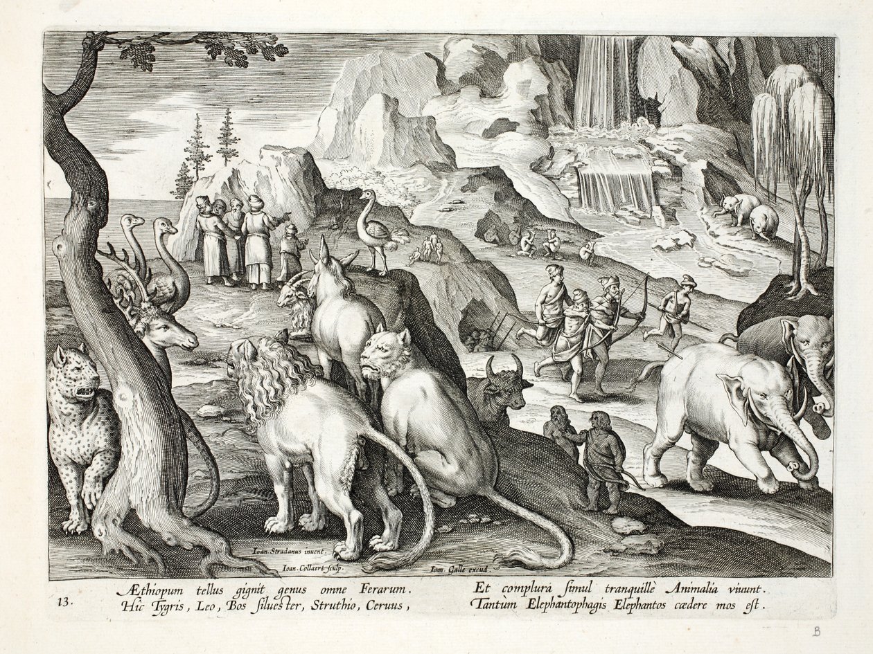A região da Etiópia produz todos os tipos de animais - tigres, leões, bois selvagens, avestruzes, veados e outros animais vivem juntos pacificamente, É o costume de caçar elefantes, ilustração de &39;Venatione de Jan van der Straet