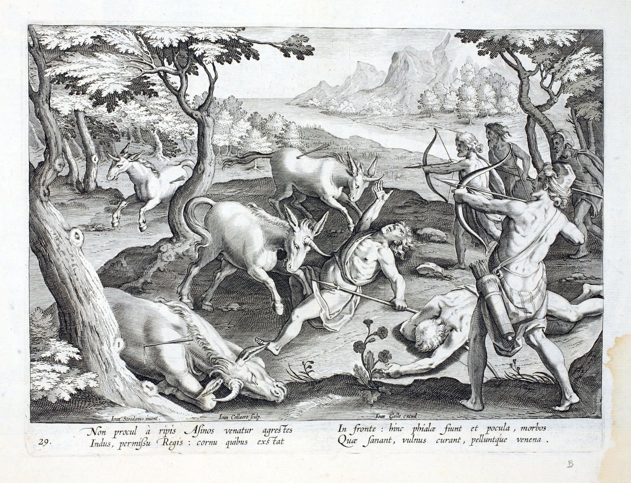 Unicórnios às margens do rio Indo, caçados com permissão do rei, ilustração de "Venationes, Ferarum, Avium, Piscium" (De Caça: Animais Selvagens, Pássaros, Peixes), gravada por Jan Collaert (1566-162 de Jan van der Straet