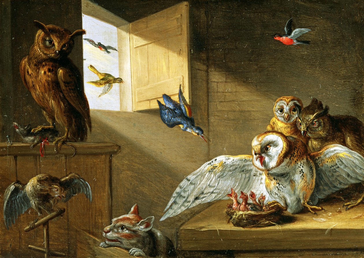 Uma Família de Corujas, outras Aves e um Gato (óleo sobre cobre) de Jan van Kessel the Elder