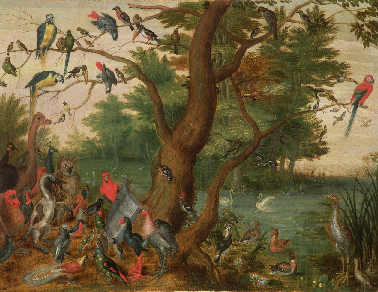 Concerto das Aves (painel) de Jan van Kessel the Elder