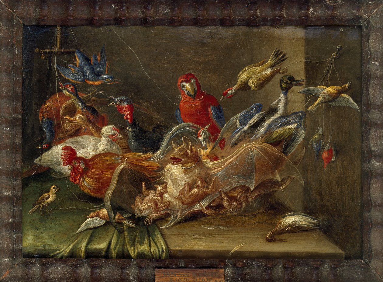 Composição decorativa de vida-morta com pássaros e dois morcegos (óleo sobre cobre) de Jan van Kessel the Elder
